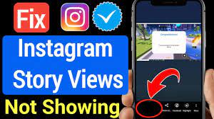  Instagram Story Viewers Not Showing