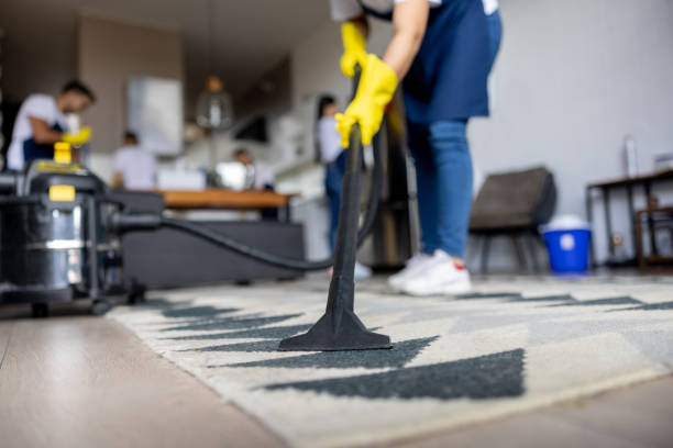 Ultimate Carpet Cleaning Guide For A Fresh Home